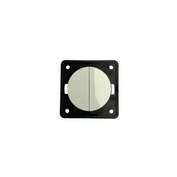 Berker Integro Double Switch 10A 250V - Modular Electrical Component 936552509