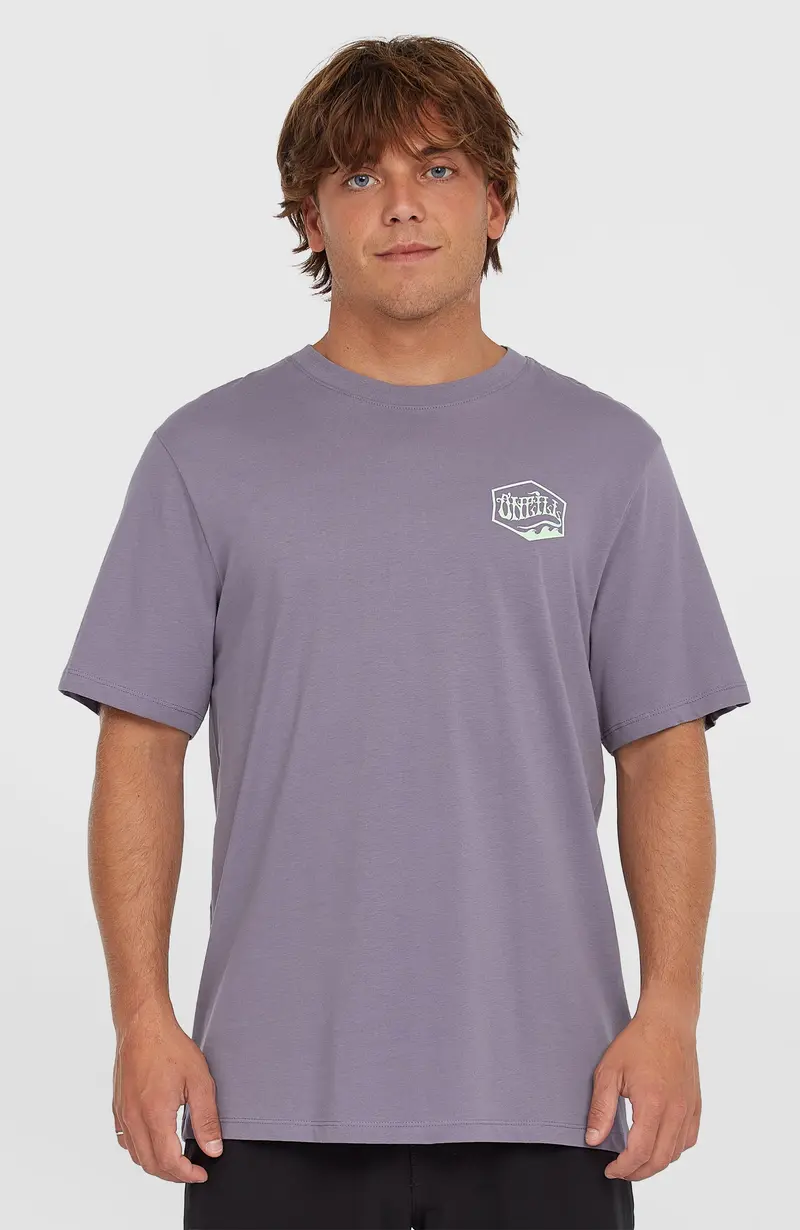 Box Logo T-Shirt | Storm