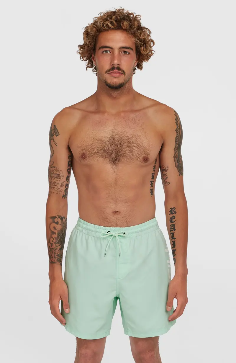 Cali 16'' Swim Shorts | Mildrew Mint