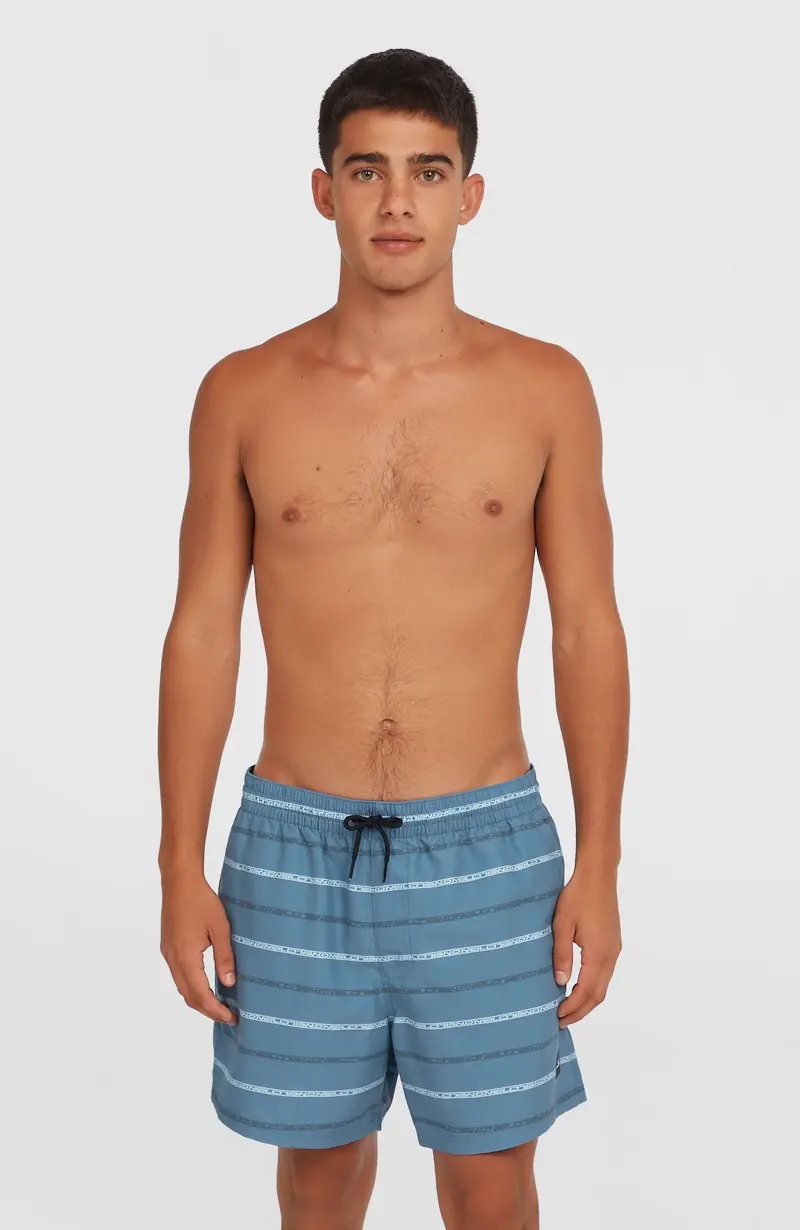 Cali First 15'' Swim Shorts | Blue O'Neill Stripe