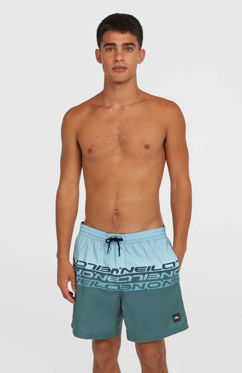 Cali Stripe 16'' Swim Shorts | Blue Upside Down