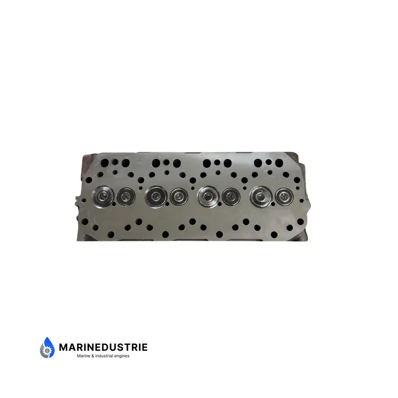 Cilinderkop Yanmar 4LH - 719171-11700
