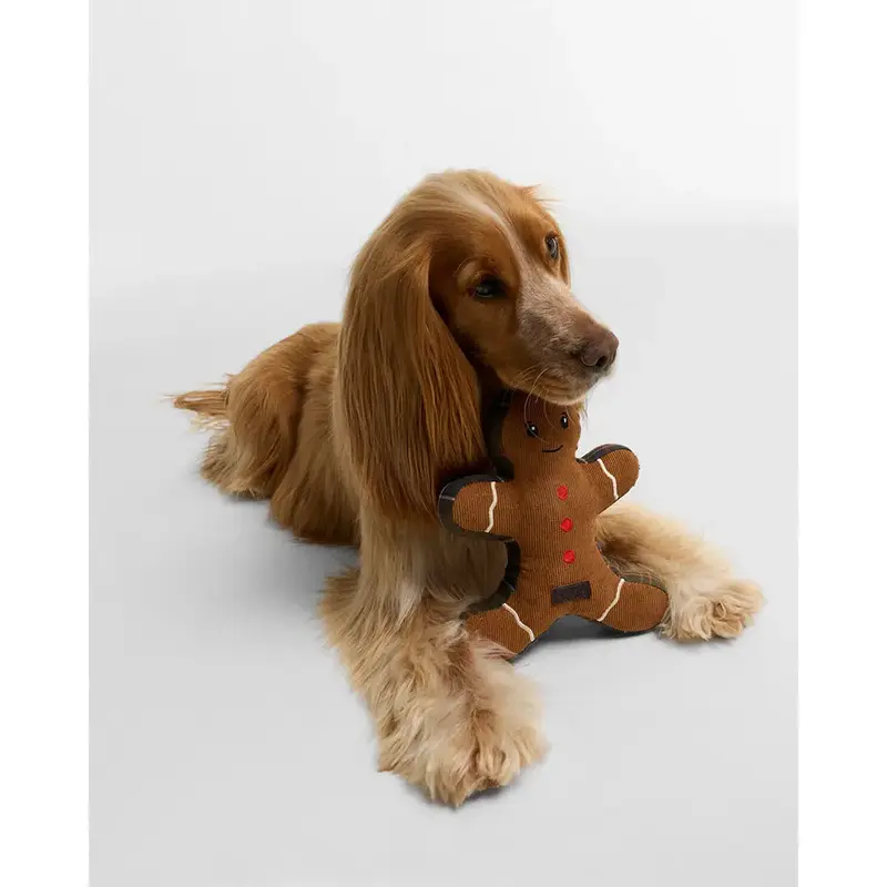 Dog Gingerbread Man Toy