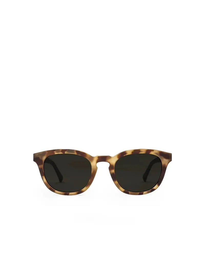 Electric Bellevue Tort Black / Grey Polarized