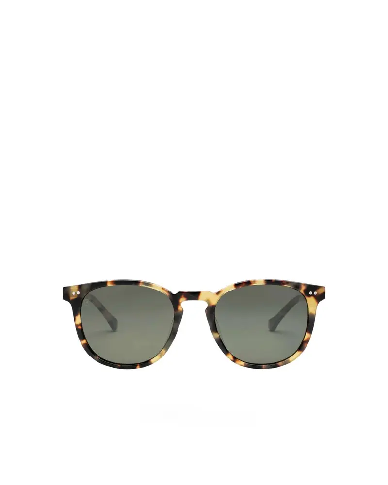 Electric Oak Gloss Spotted Tortoise / Grey Polarized