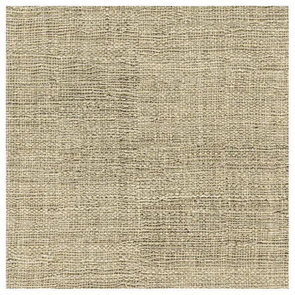 Elites Raffia and Madagascar VP 631-06 Walpaper