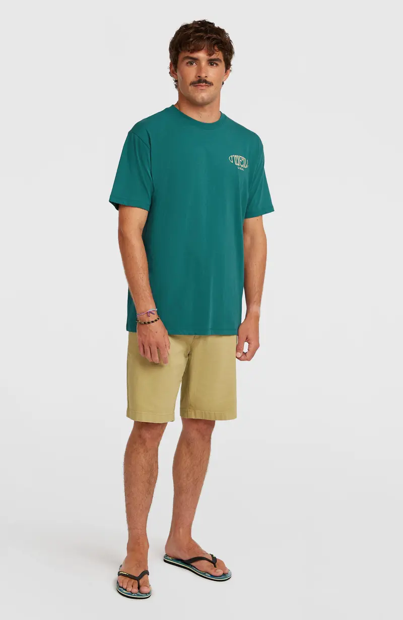 Essentials Chino Shorts | Oak Ridge