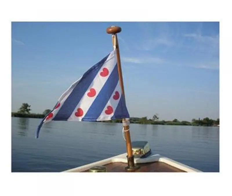 FRIESE PUNTVLAG