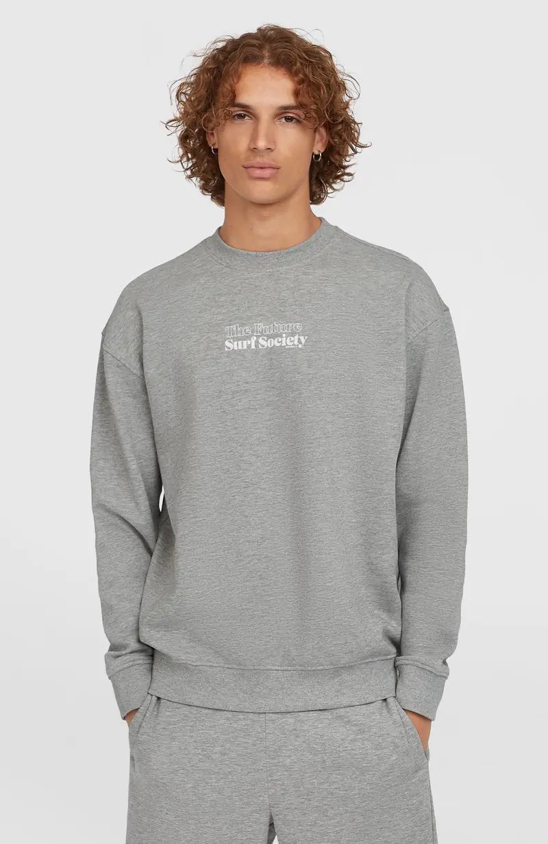 Future Surf Society Crew | Silver Melee