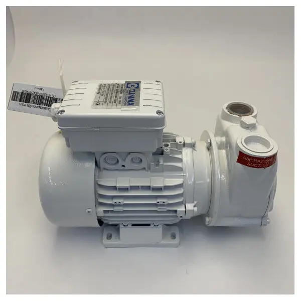Gianneschi CP26 A1 230V Self Priming Brass Pump - 01ACP2602A1