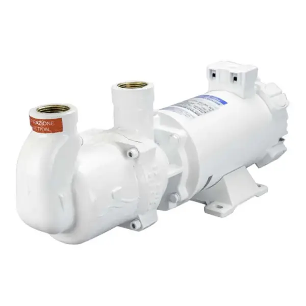 Gianneschi MV44 24V bronze self priming liquid pump 50L/min