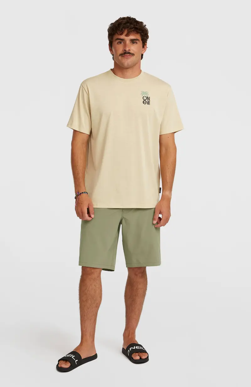 Hybrid 19'' Shorts | Avery Fern