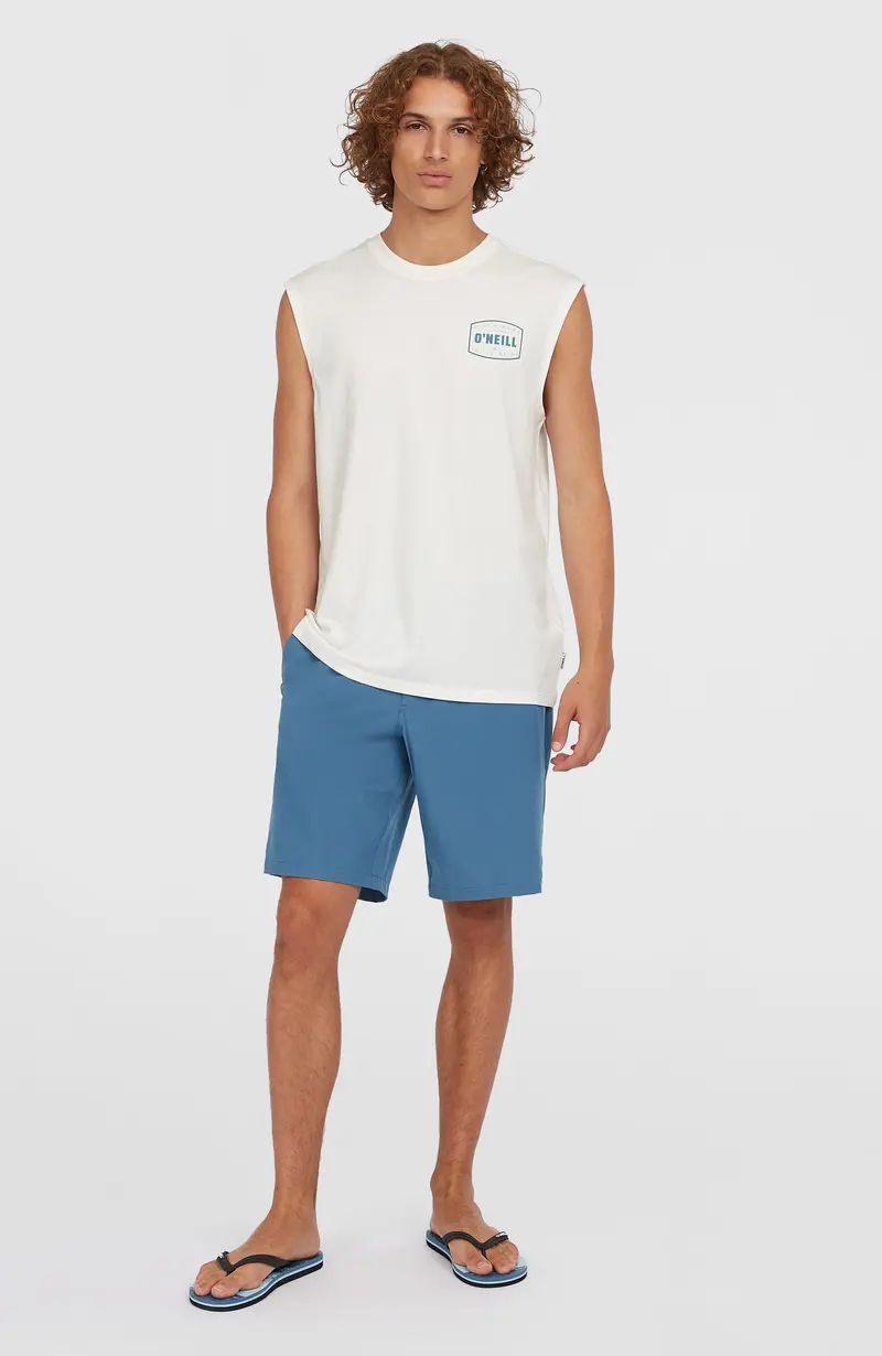 Hybrid Chino 19" Shorts | Copen Blue