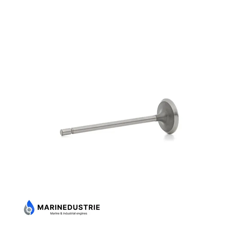 Inlaatklep DAF 575 615 - 257263 211260