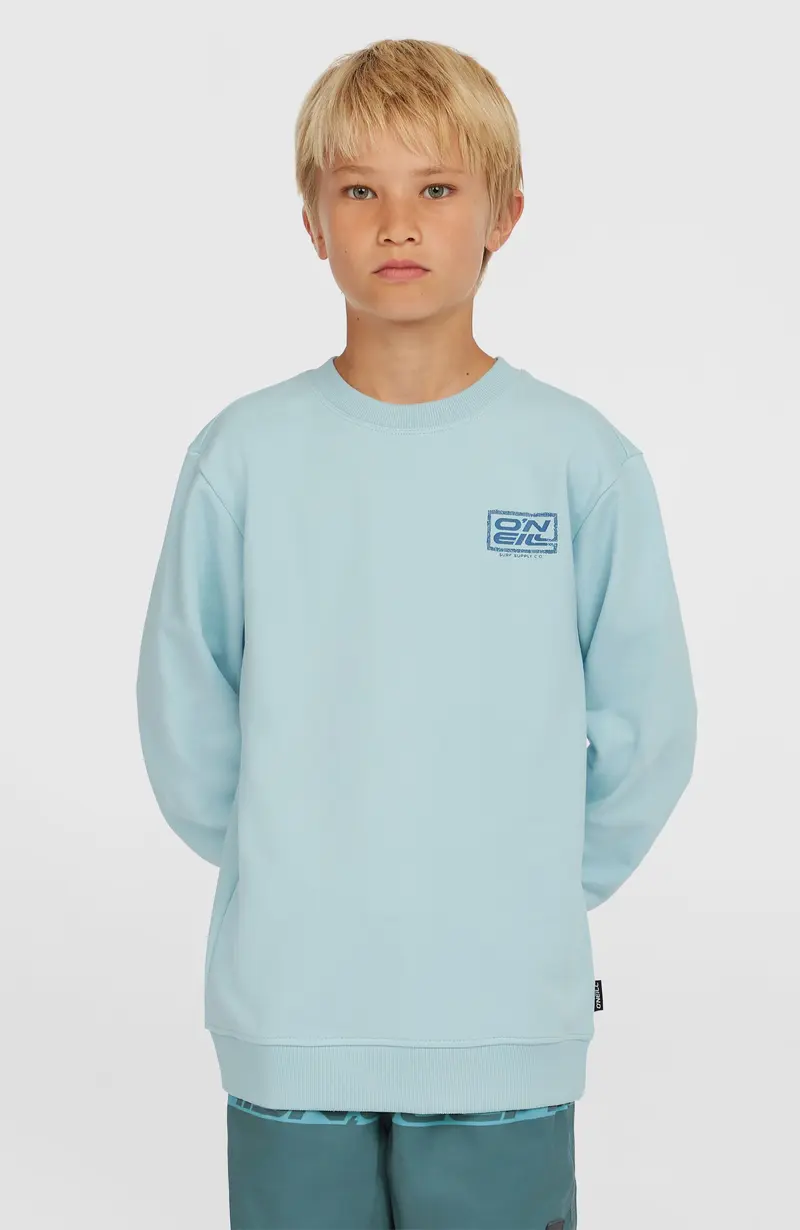 Logo Crew Sweatshirt | Morning Glory