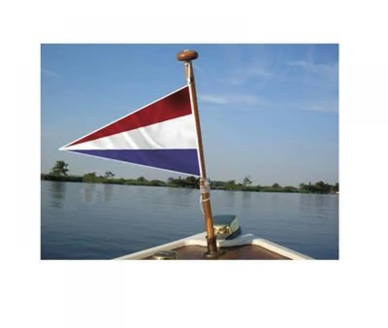 Nederlandse puntvlag 20 x 30 cm