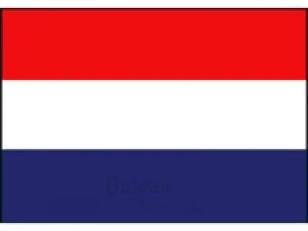 Nederlandse vlag 500 x 750 mm