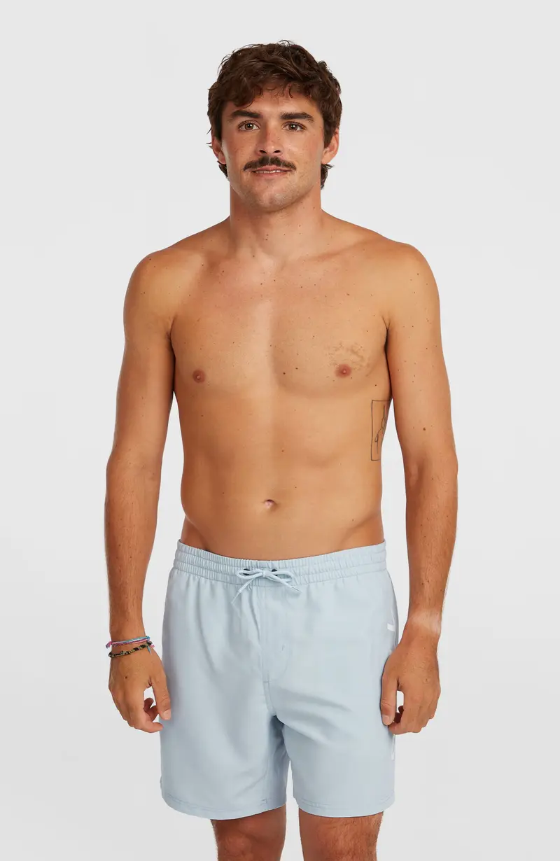 O'Neill Logo 16'' Swimshorts | Spindle