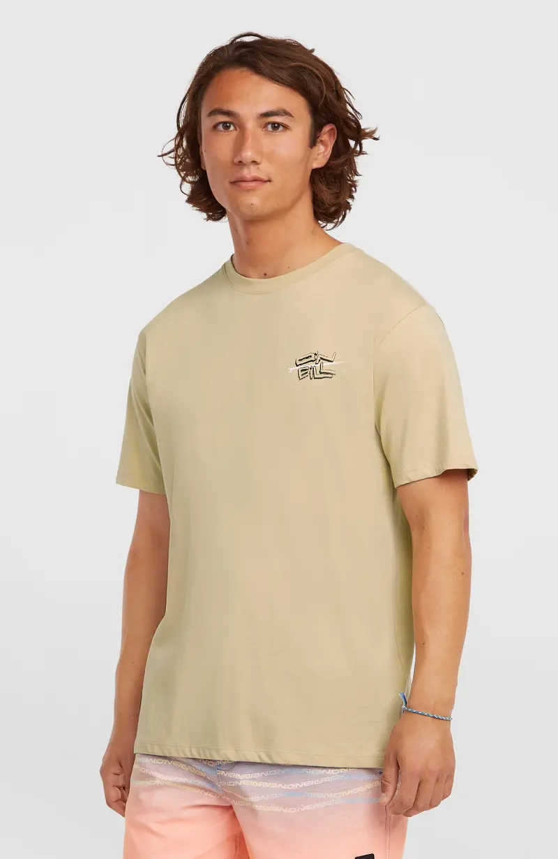O’Neill Retro Back Print T-Shirt | Cocoa Sand