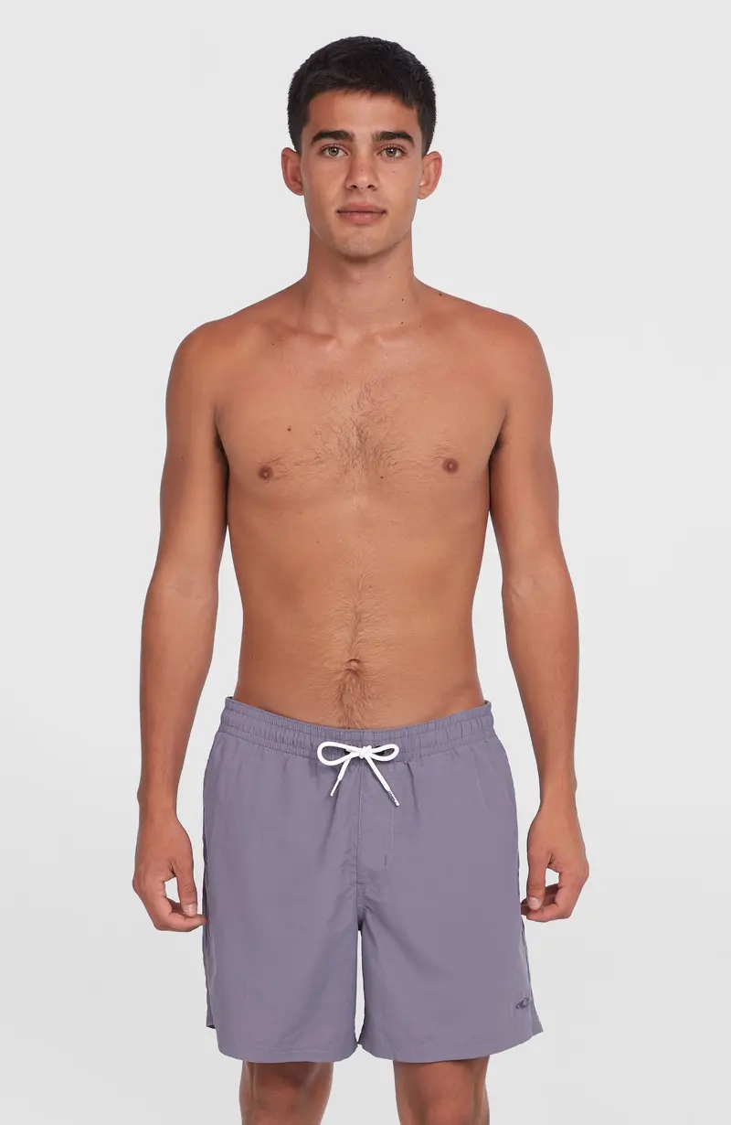 O’Neill Vert 16'' Swim Shorts | Storm