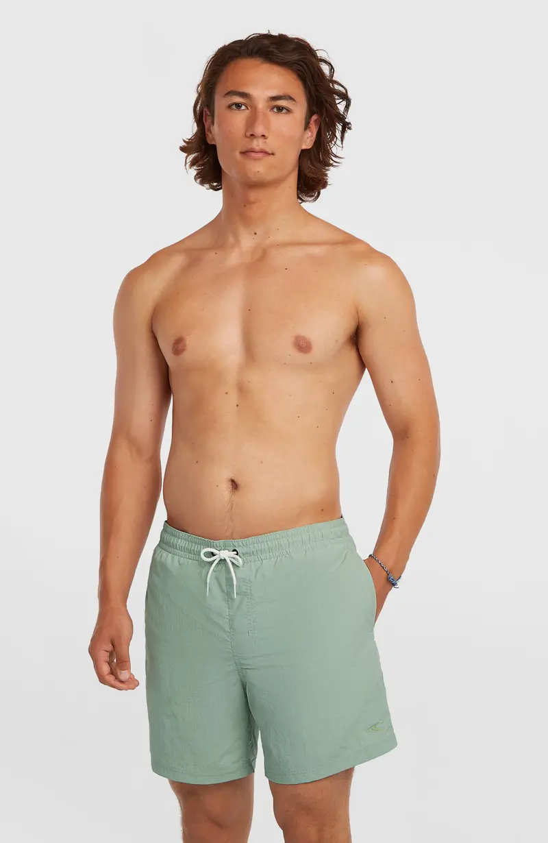 O'Neill Vert 16'' Swimshorts | Marble Arch
