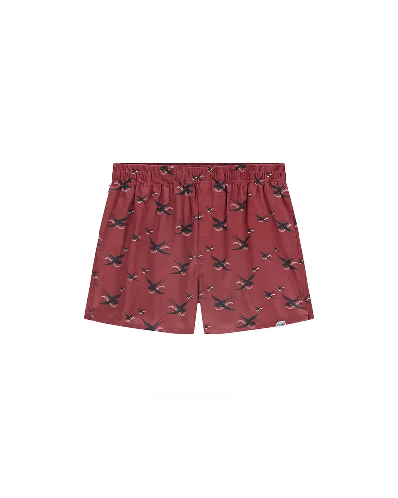 Pockies De Zwaluw x Pockies Brick