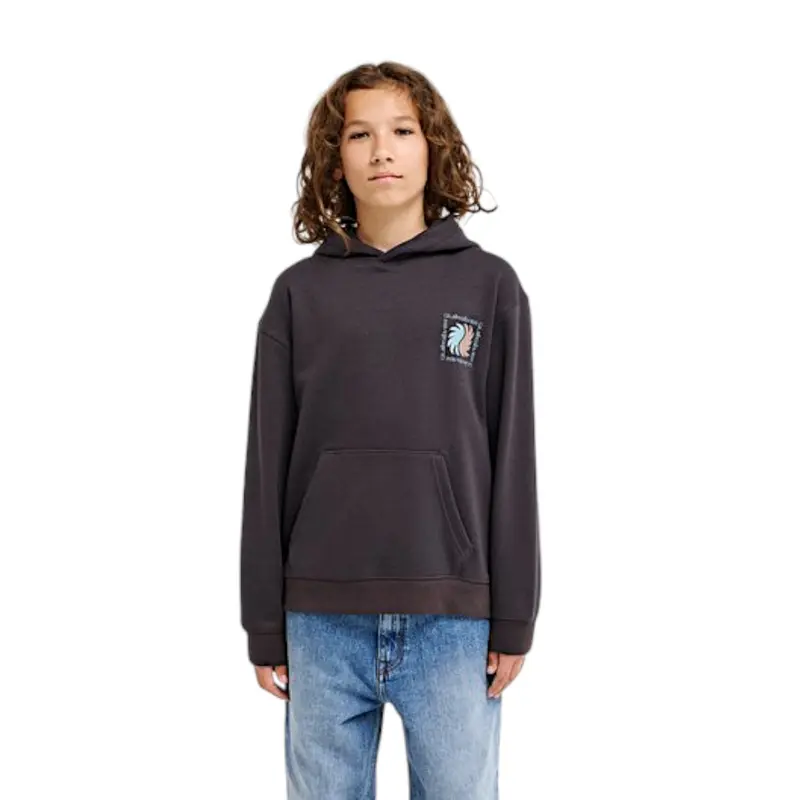 Quiksilver Graphic Hoodie (KTA0)