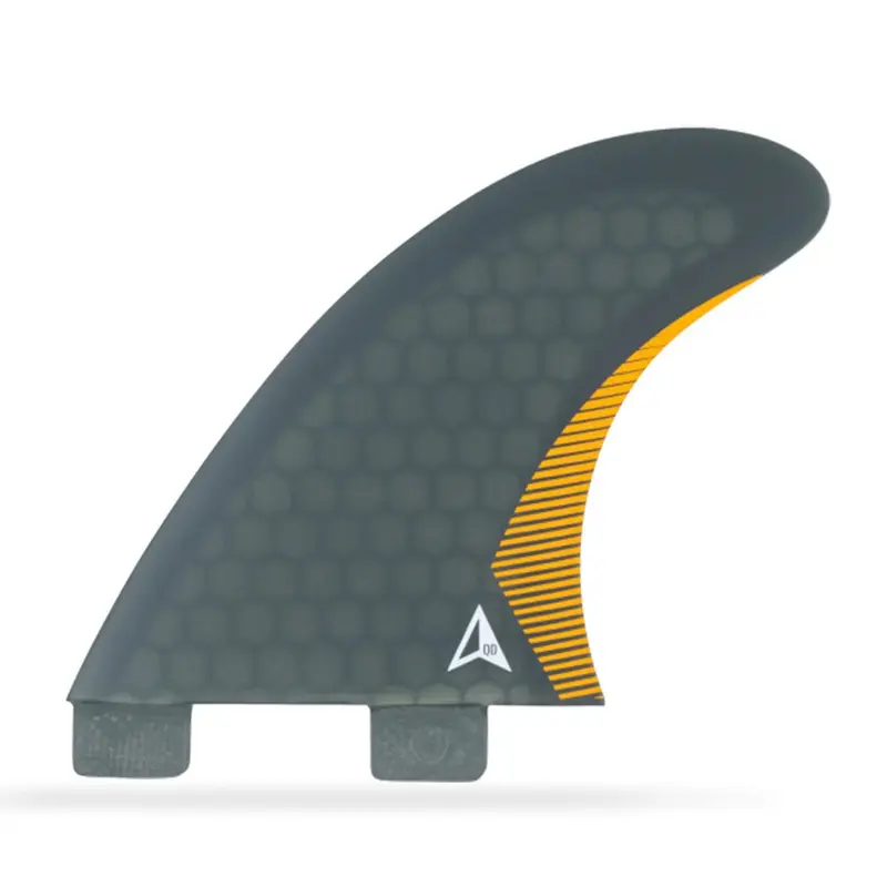 ROAM Quad Rear 2 Fin Set Dual Tab