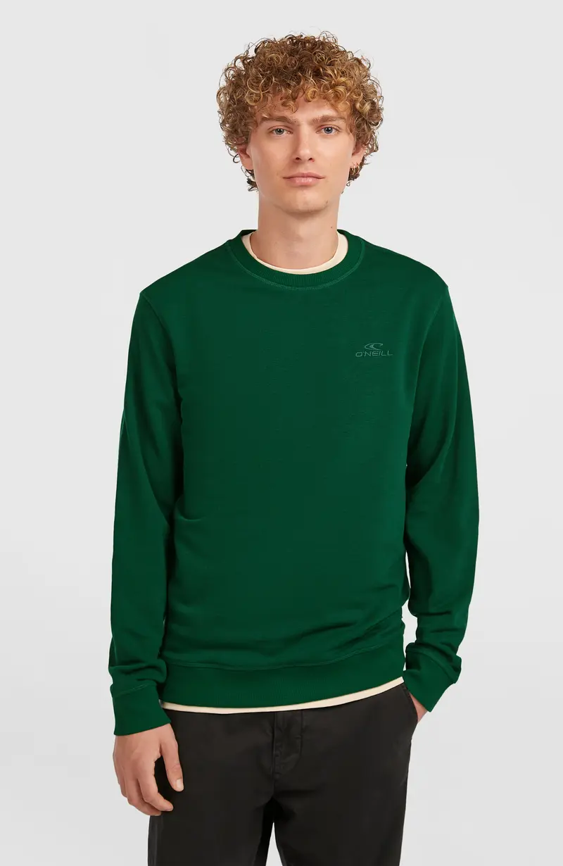Small Logo Crew Sweatshirt | Emerald Envy