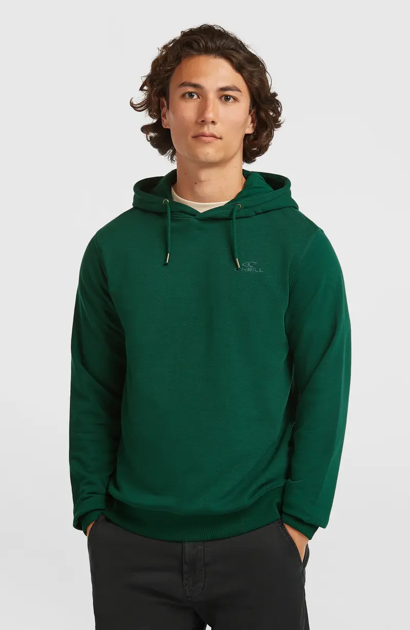 Small Logo Hoodie | Emerald Envy