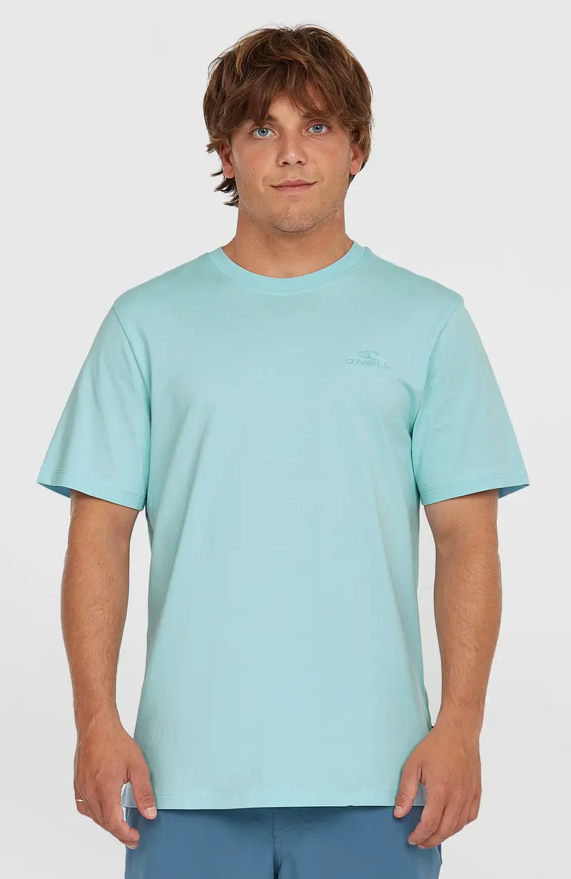 Small Logo T-Shirt | Morning Glory