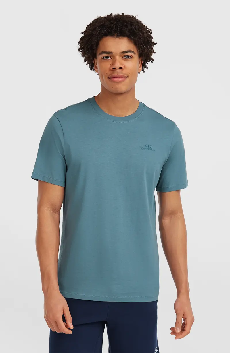 Small Logo T-Shirt | Mozart Blue