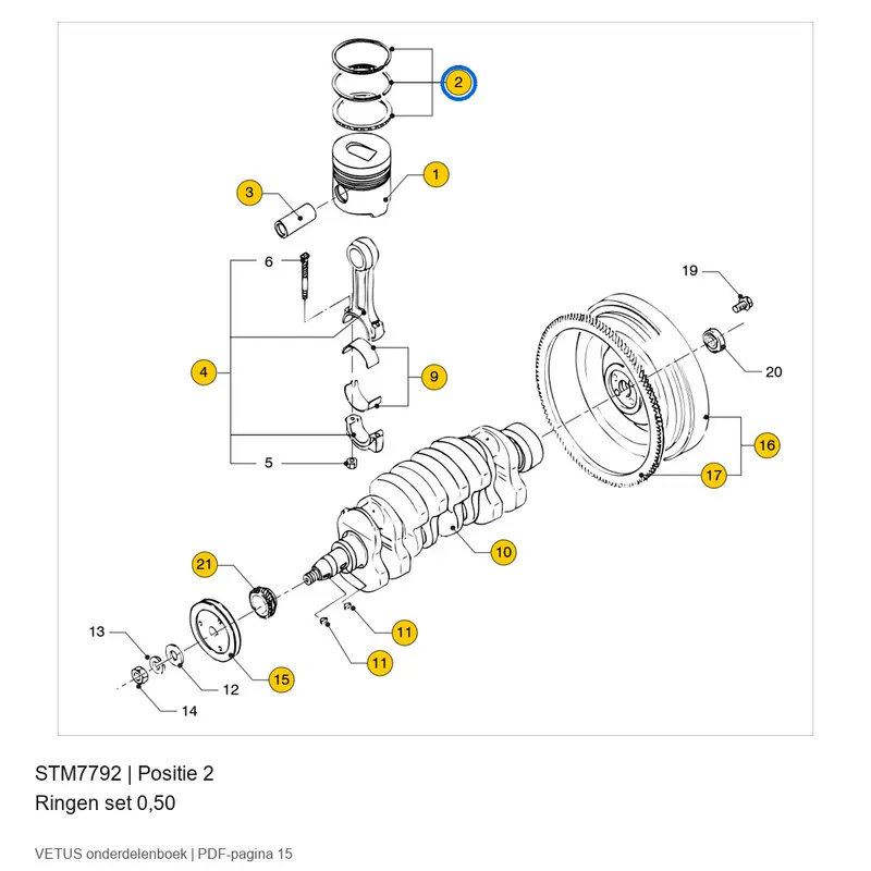 Vetus Ringen set 0,50 - STM7792